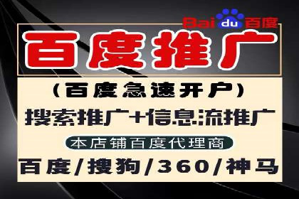 SEM营销推广实战案例：揭秘成功之道